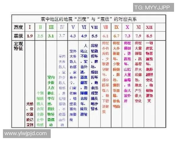 西安排球队运营揭秘:排球深度分析与策略探讨